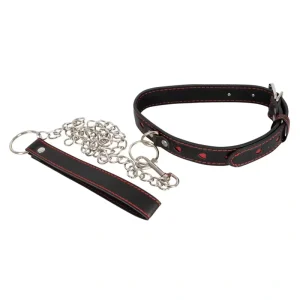 Halsband und Leine